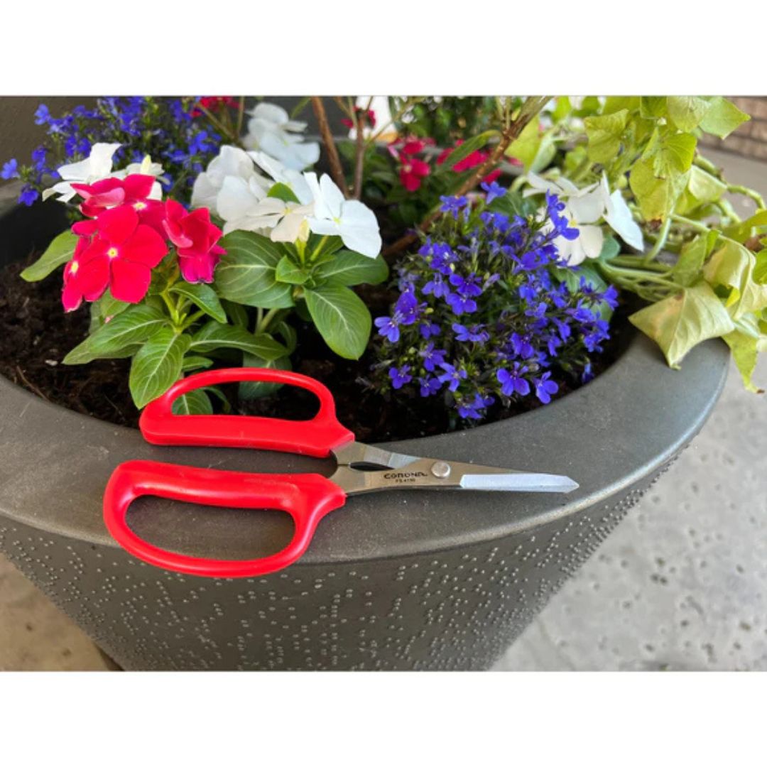 Hydroponic Scissors – Corona – 2″